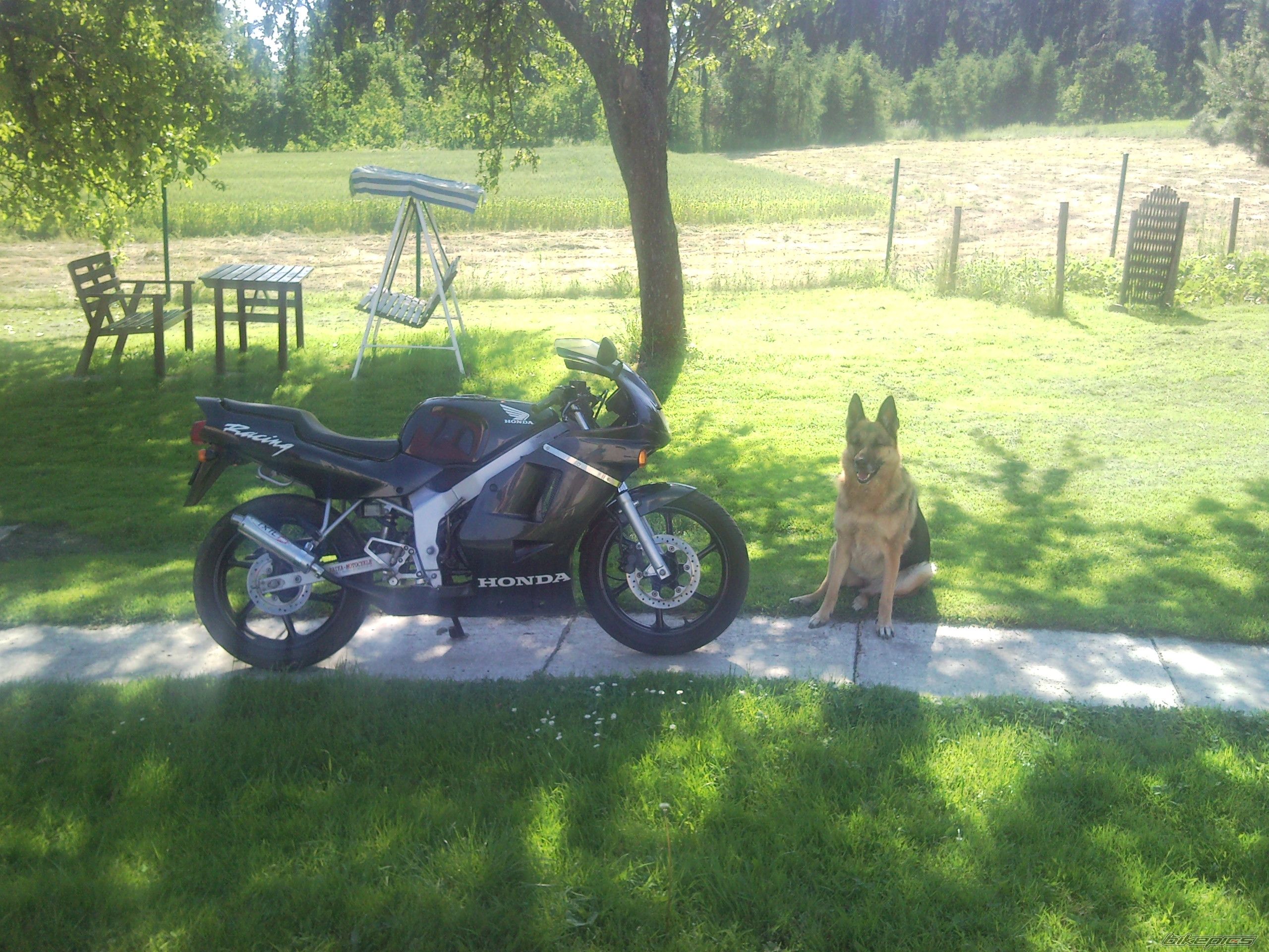 2007 HONDA NS1 80 | Picture 2004611 motorcycle photo