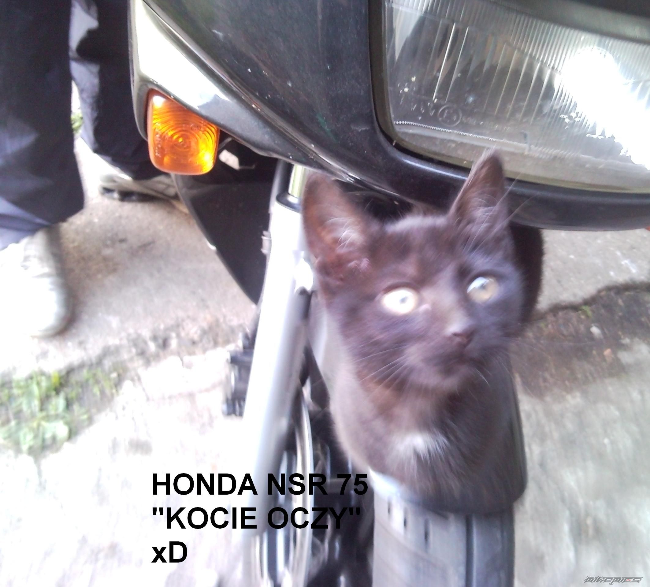 2007 HONDA NS1 80 | Picture 2004619 motorcycle photo