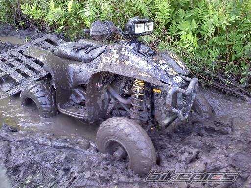 2005 POLARIS SCRAMBLER 500 | Picture 2005051 motorcycle photo