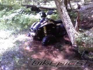 2005 POLARIS SCRAMBLER 500 | Picture 2005052 motorcycle photo