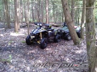 2005 POLARIS SCRAMBLER 500 | Picture 2005053 motorcycle photo