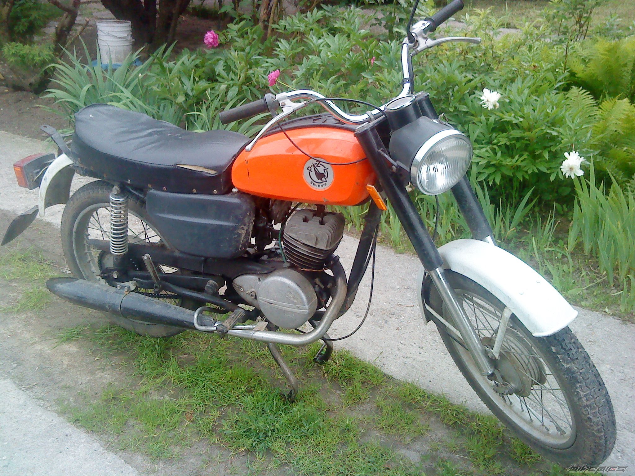 1985 WSK 125 | Picture 2005240 motorcycle photo
