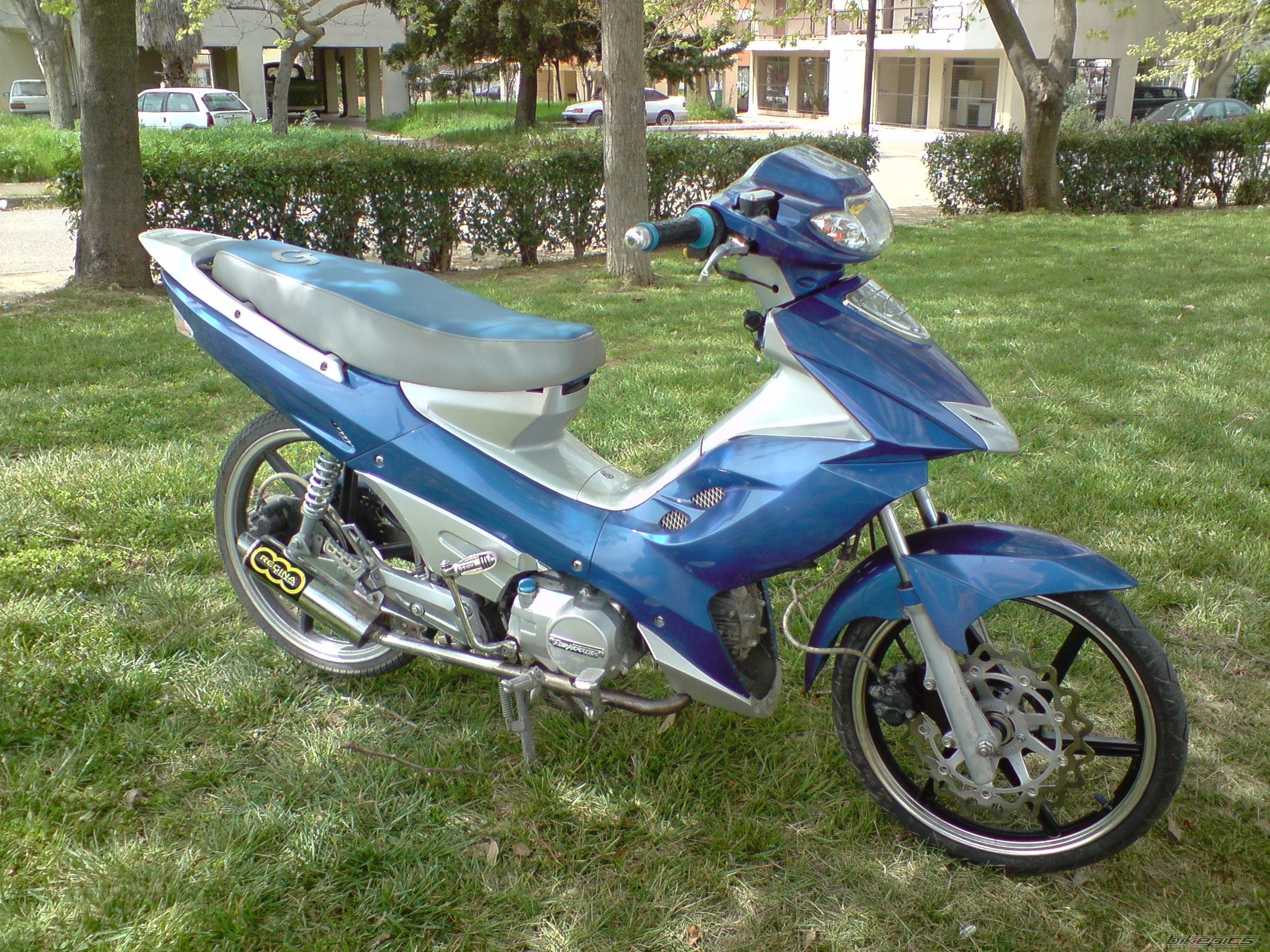 2009 DAYTONA SPRINTER | Picture 2005273 motorcycle photo