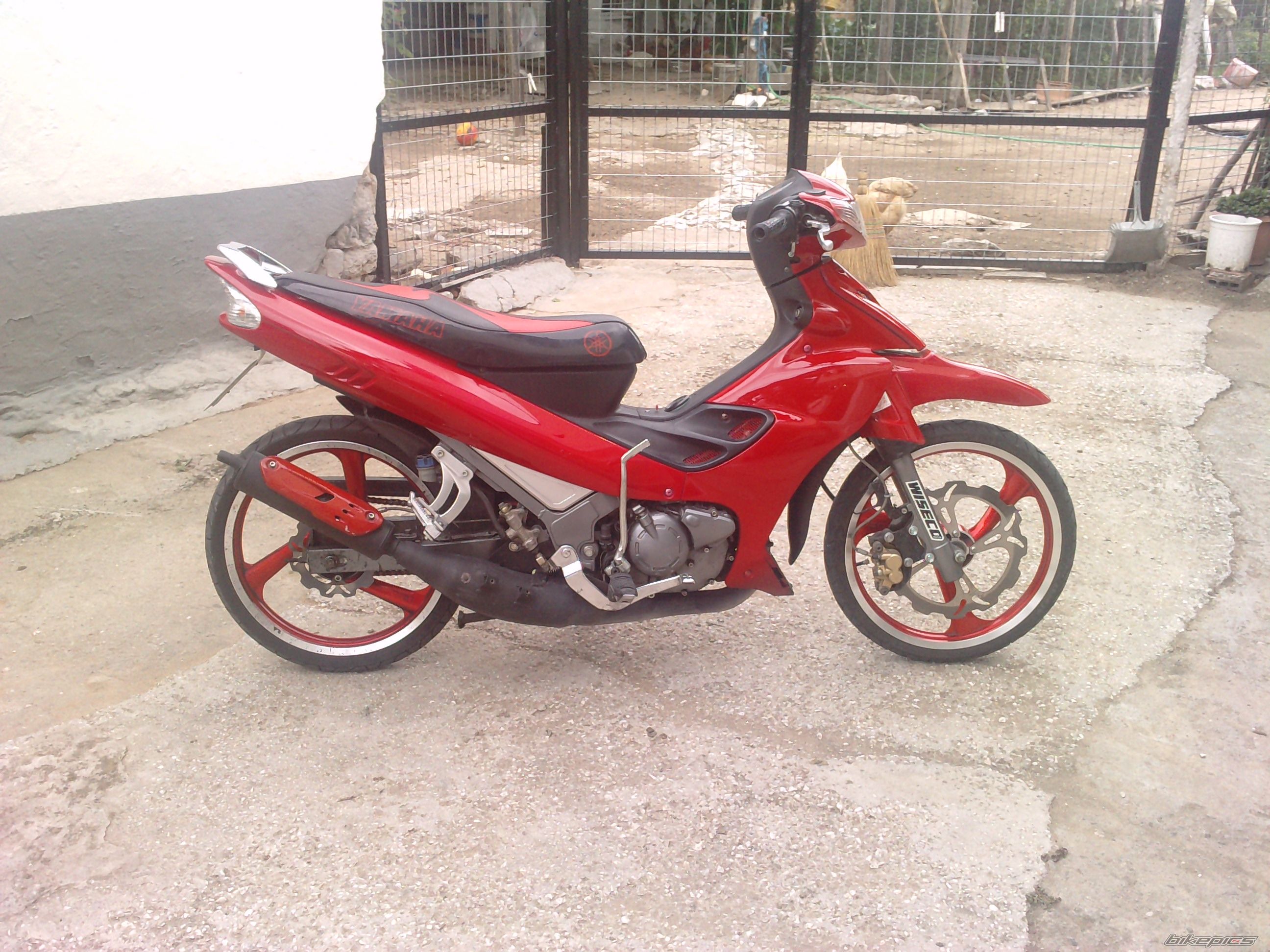 2010 YAMAHA Z 125 | Picture 2005291 motorcycle photo
