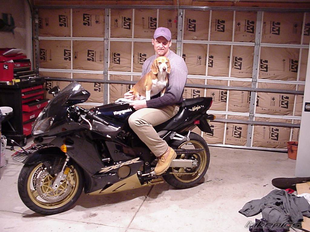 2002 KAWASAKI ZX 12R | Picture 20053 motorcycle photo