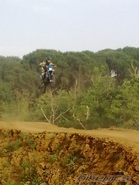 1999 TM TM 300E 2T ENDURO | Picture 2005617 motorcycle photo