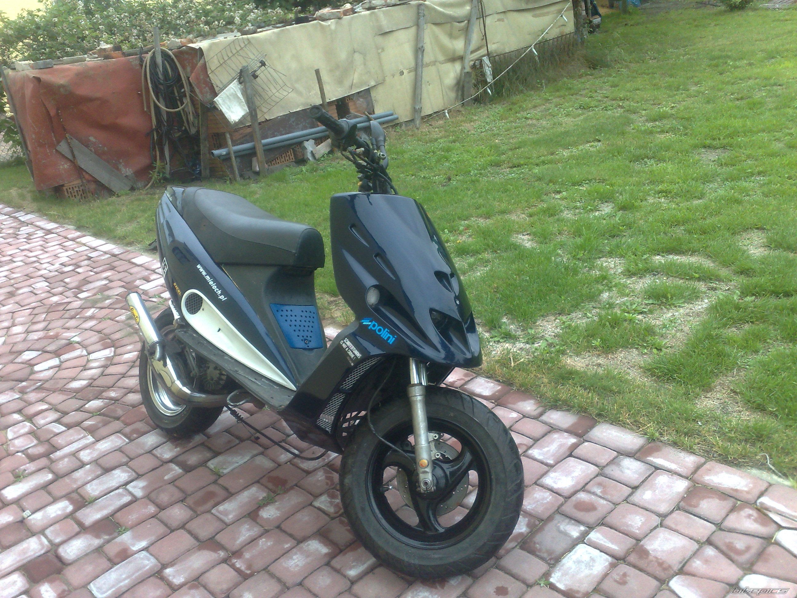 1999 MALAGUTI F 12 50 | Picture 2005707 motorcycle photo