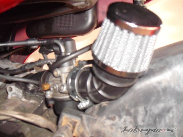 1993 PIAGGIO TYPHOON 50 | Picture 2005804 motorcycle photo