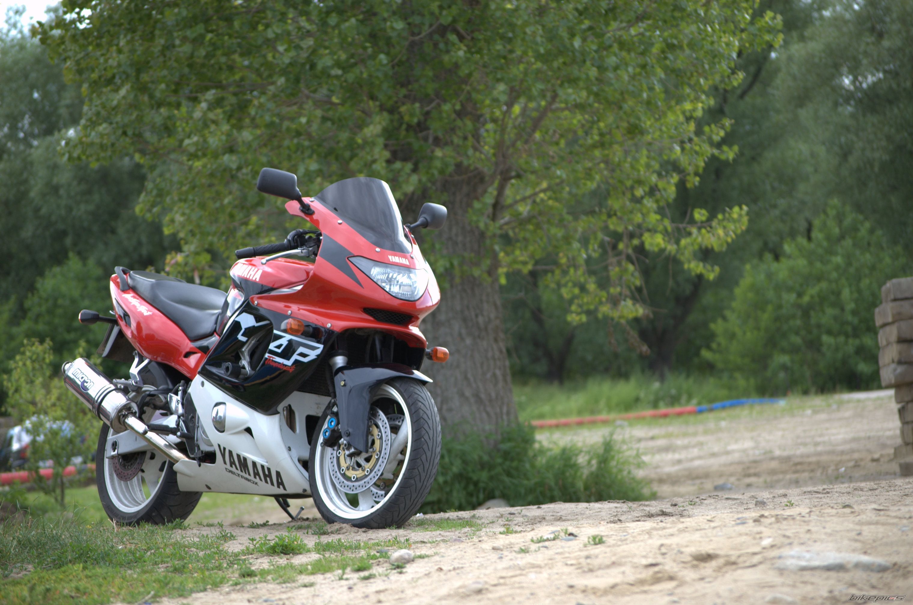 1998 YAMAHA YZF 600 | Picture 2006423 motorcycle photo