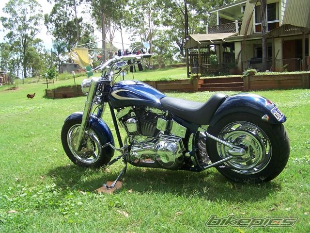 2001 HARLEY DAVIDSON CUSTOM | Picture 2007026 motorcycle photo