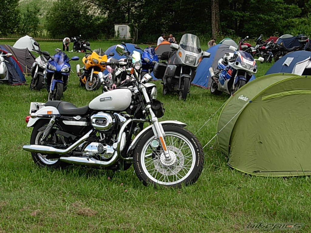 2006 HARLEY DAVIDSON XL 1200 C | Picture 2007075 motorcycle photo
