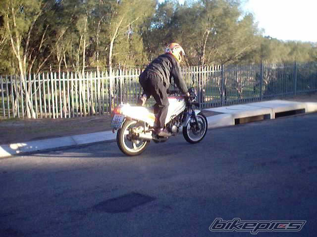 1999 YAMAHA TZR 125 | Picture 20071 motorcycle photo