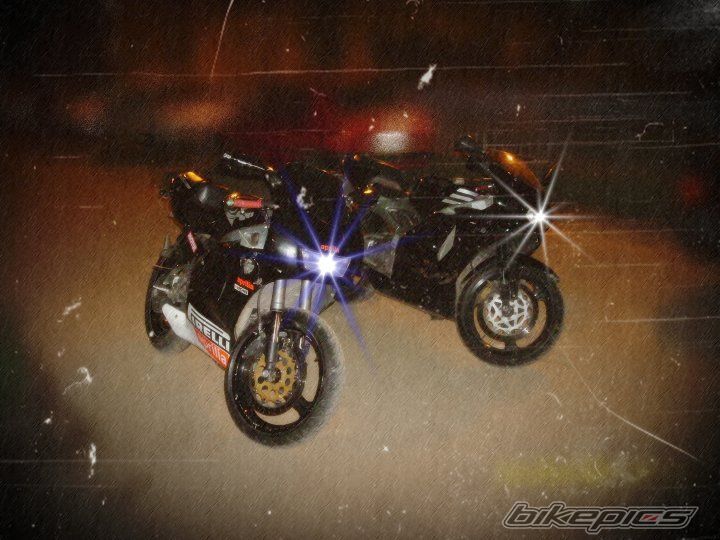 1998 APRILIA RS 125 | Picture 2007102 motorcycle photo