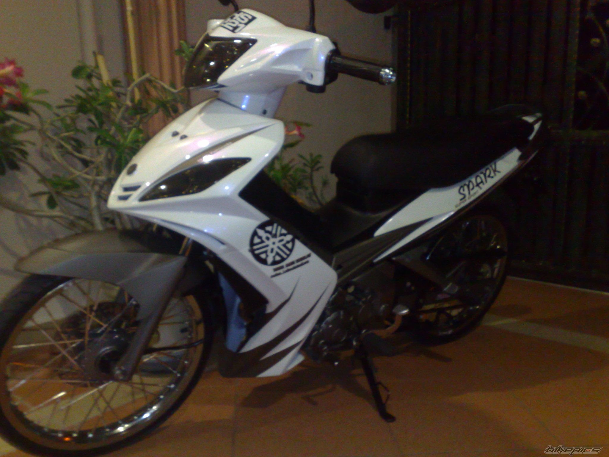 2008 YAMAHA 135 LC | Picture 2007253 motorcycle photo