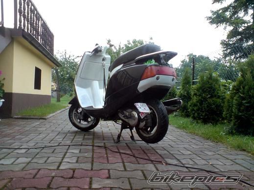 1994 PIAGGIO SFERA NSL 50 | Picture 2007301 motorcycle photo