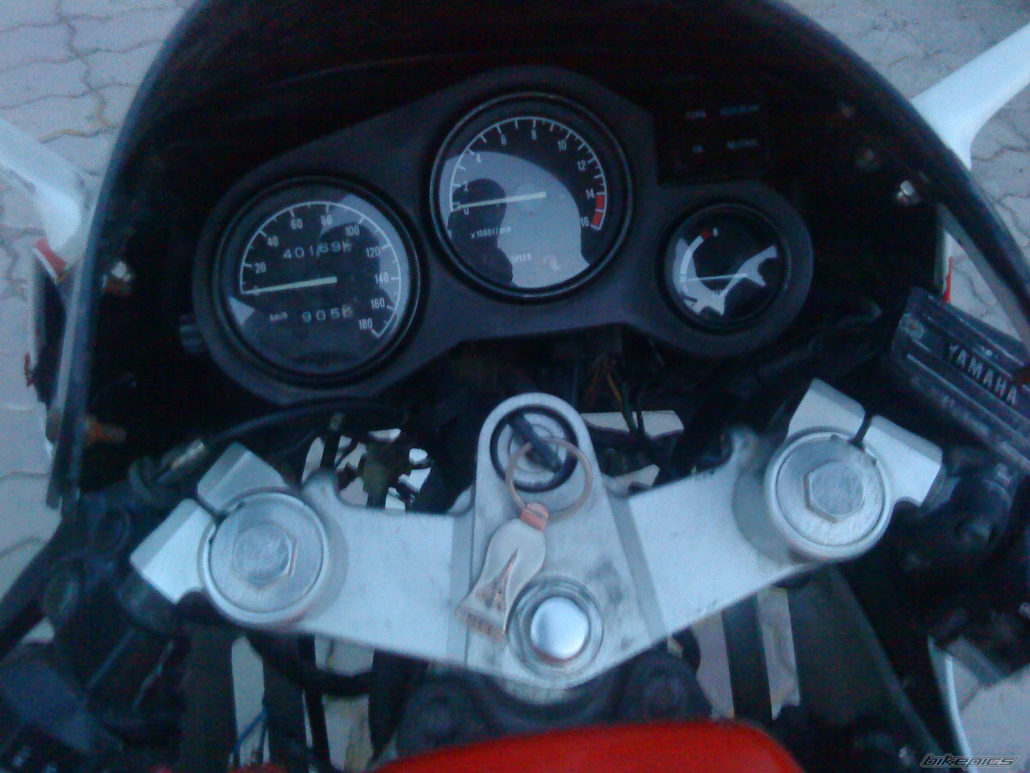 1991 YAMAHA FZR 400 | Picture 2007539 motorcycle photo