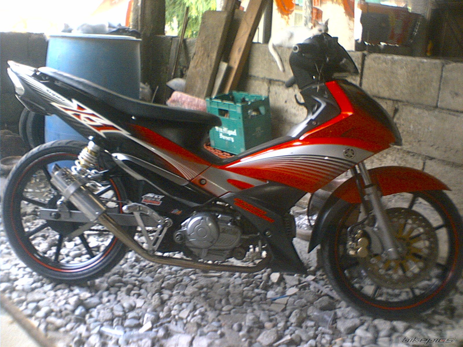 2008 YAMAHA X1 110 | Picture 2007618 motorcycle photo