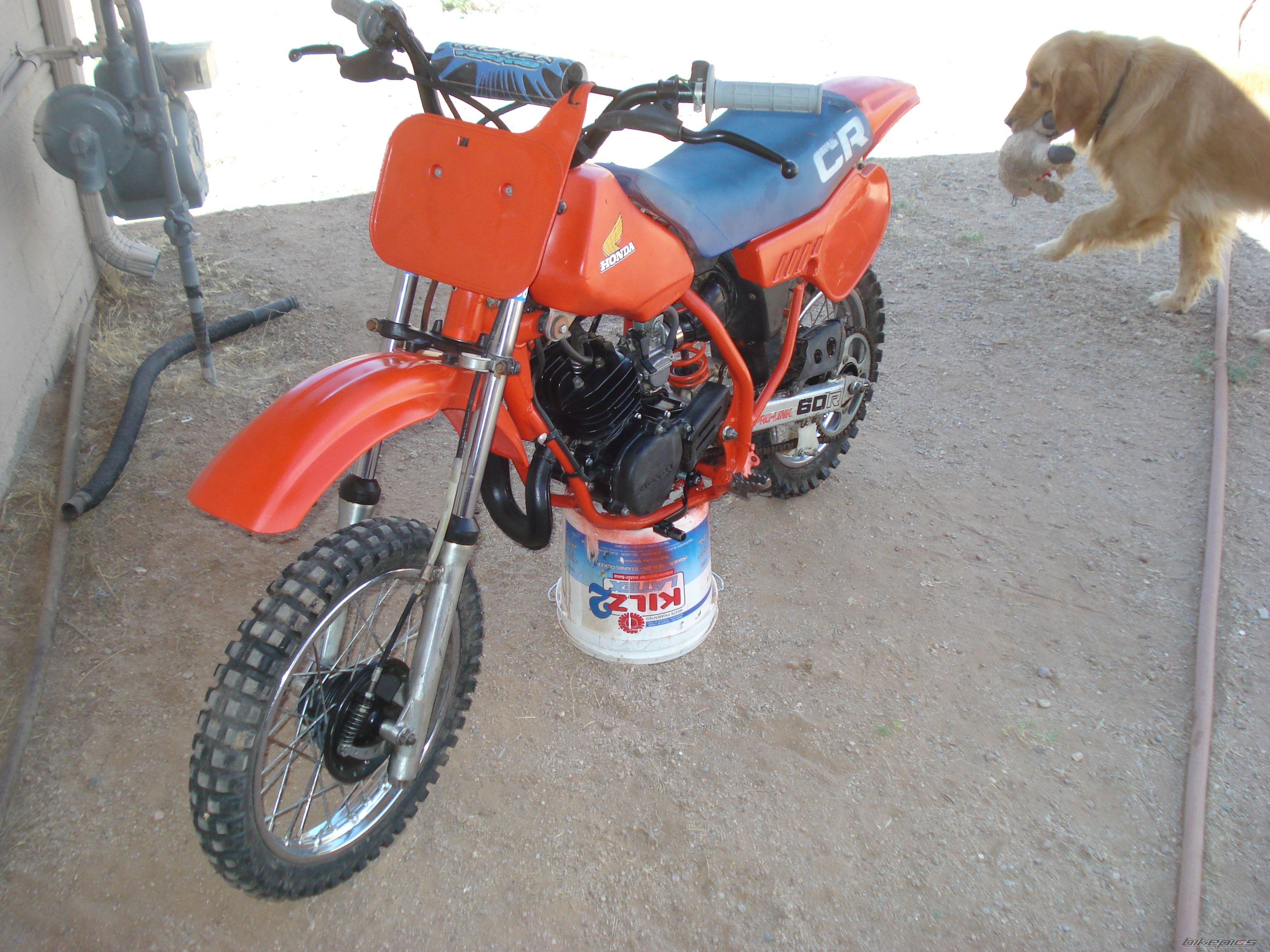 1983 HONDA CR 60 | Picture 2007720 motorcycle photo