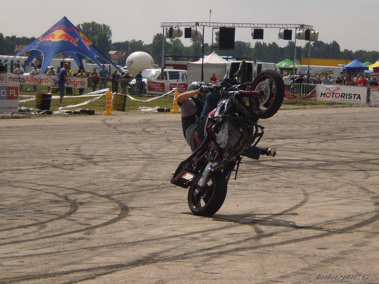 2010 MOTORSTAR TOMCAT | Picture 2007967 motorcycle photo