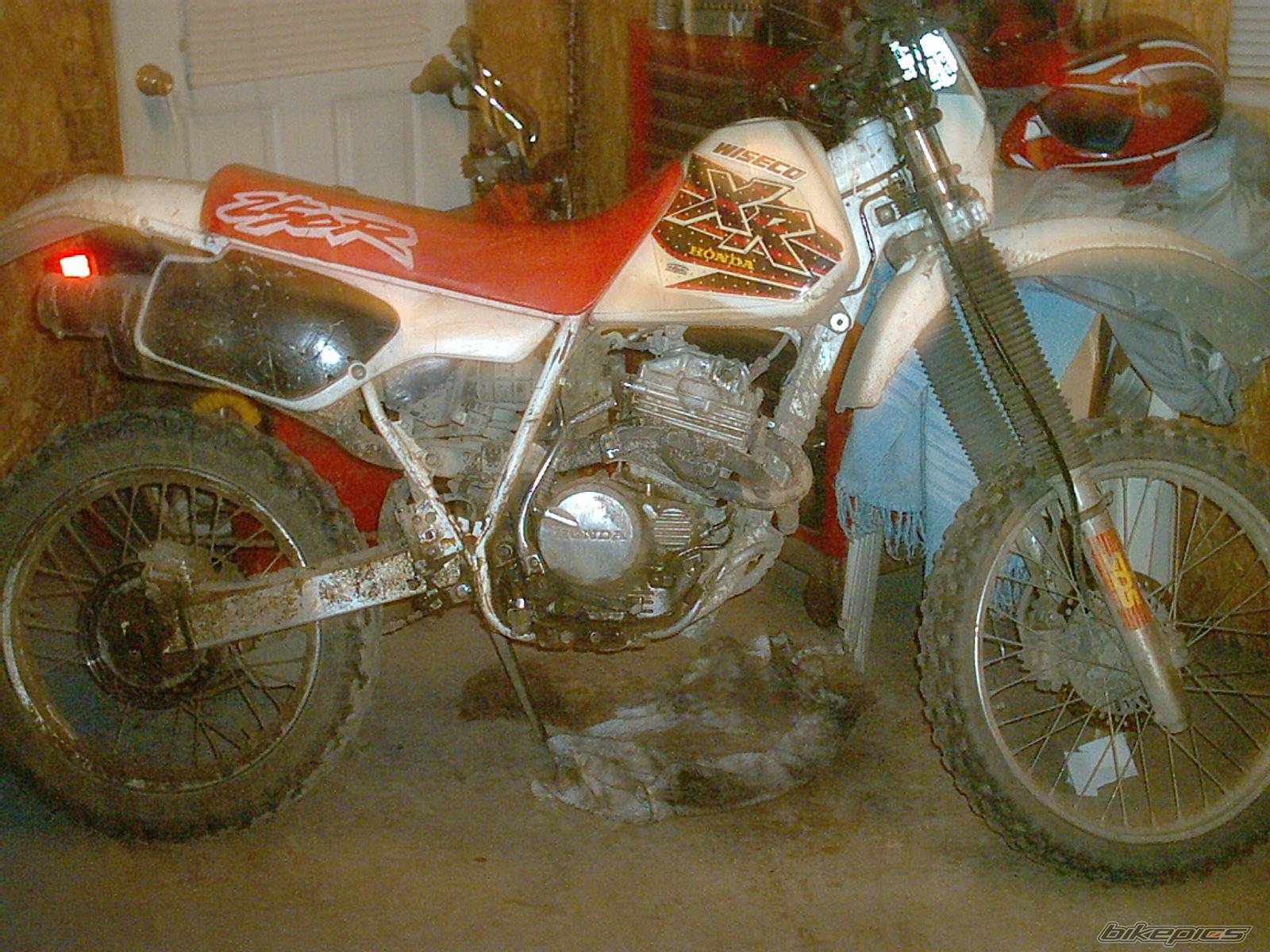 1995 HONDA XR 250 | Picture 200813 motorcycle photo