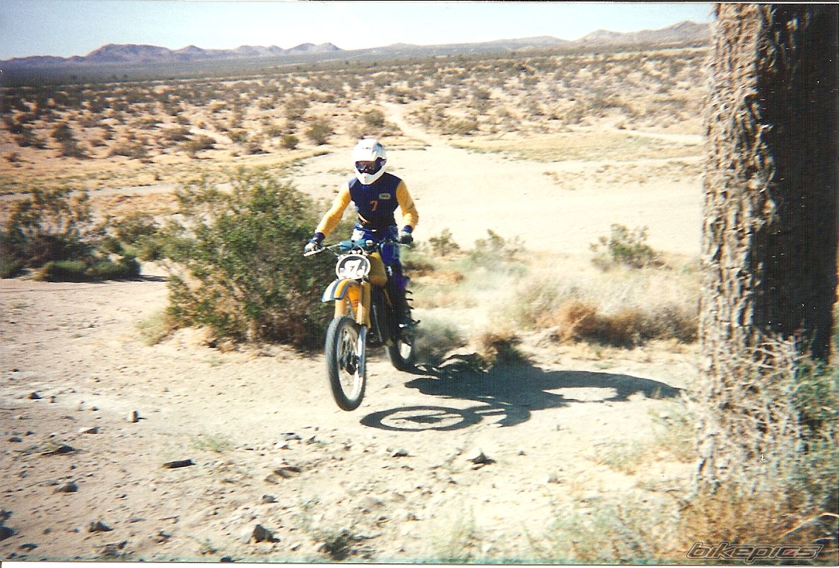 1978 YAMAHA YZ 250 | Picture 2008524 motorcycle photo