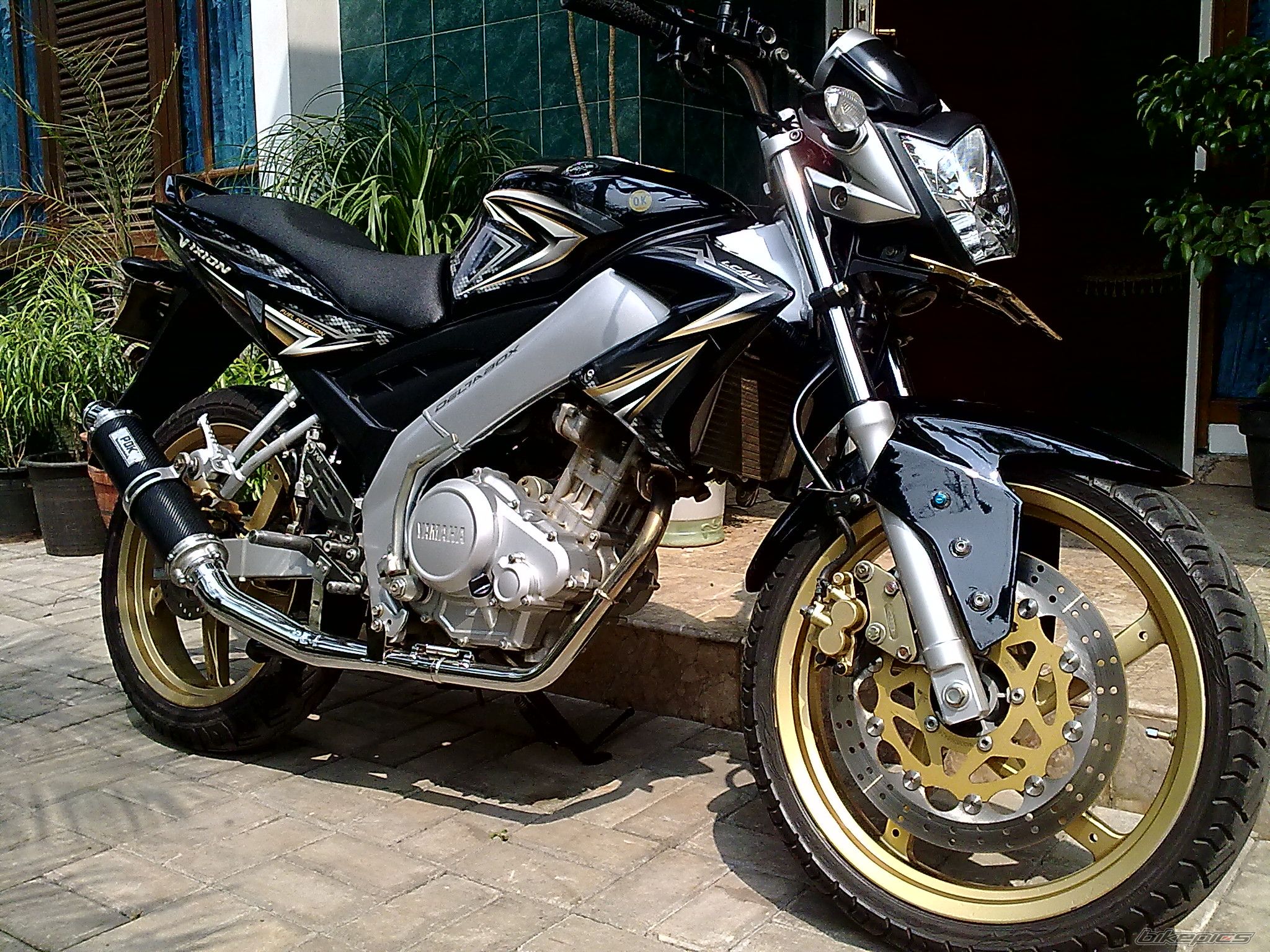 2009 YAMAHA FZ 150 | Picture 2008773 motorcycle photo