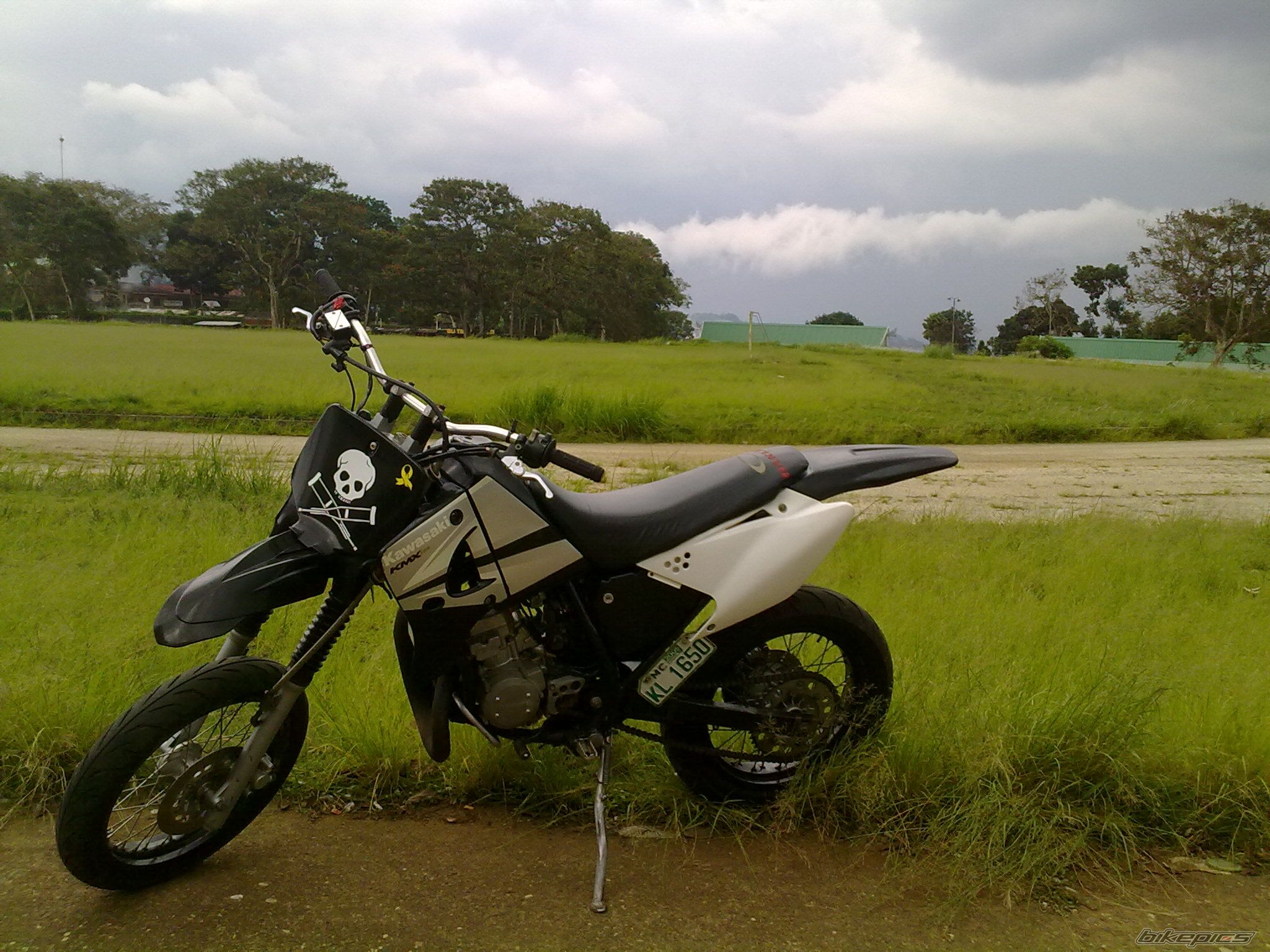 2010 KAWASAKI KMX 125 | Picture 2009050 motorcycle photo