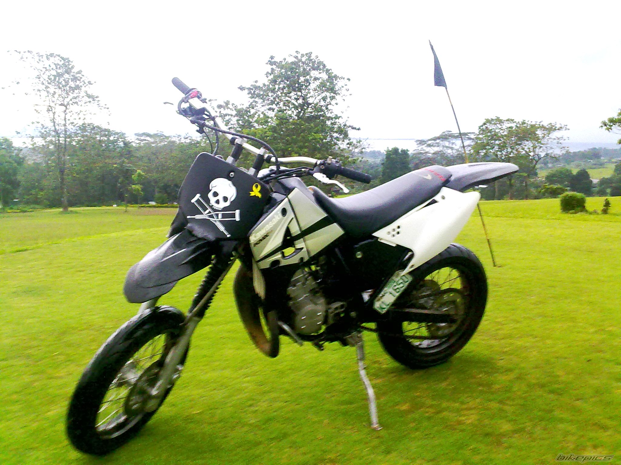2010 KAWASAKI KMX 125 | Picture 2009090 motorcycle photo
