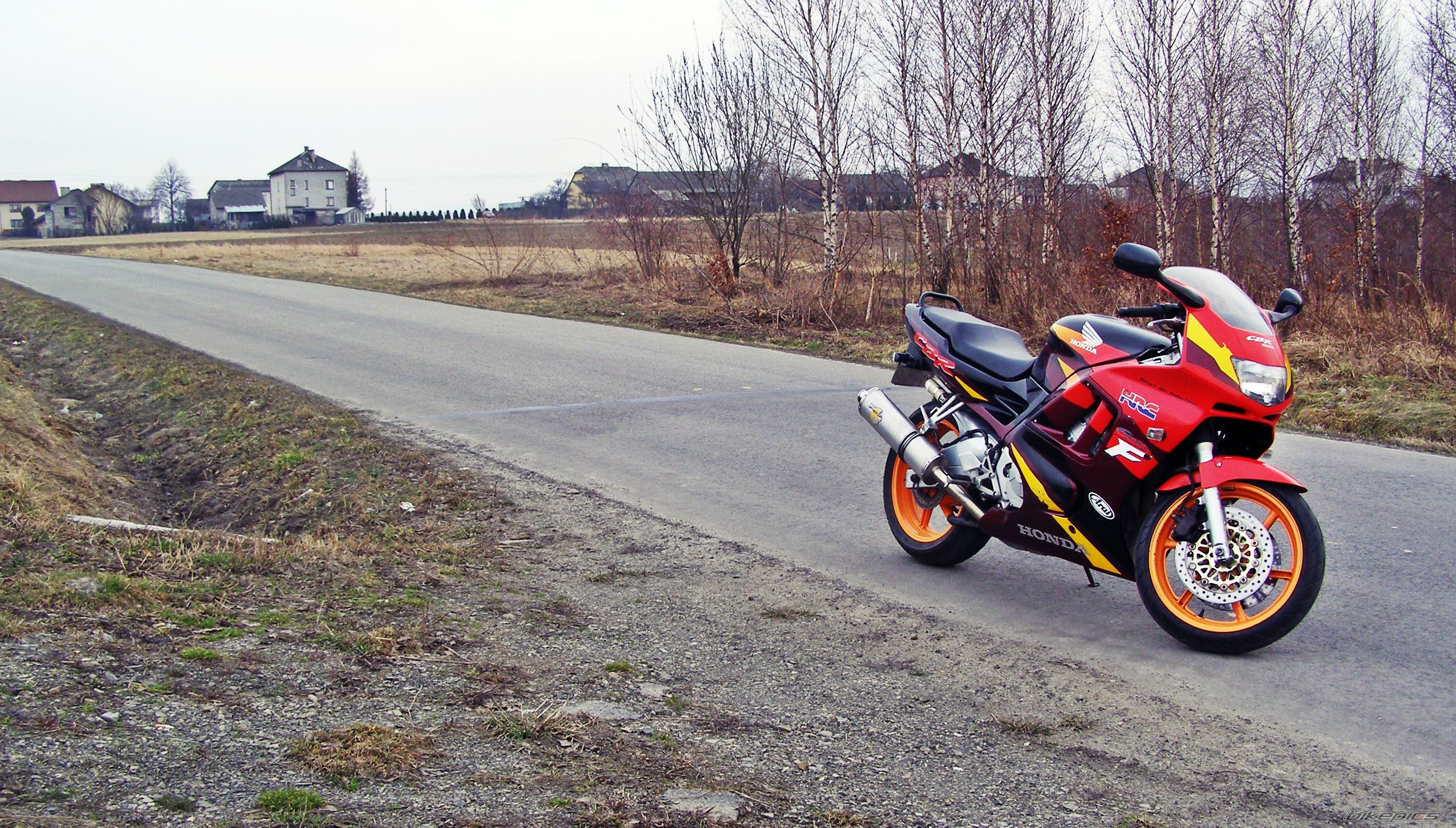1996 HONDA CBR 600 | Picture 2009163 motorcycle photo