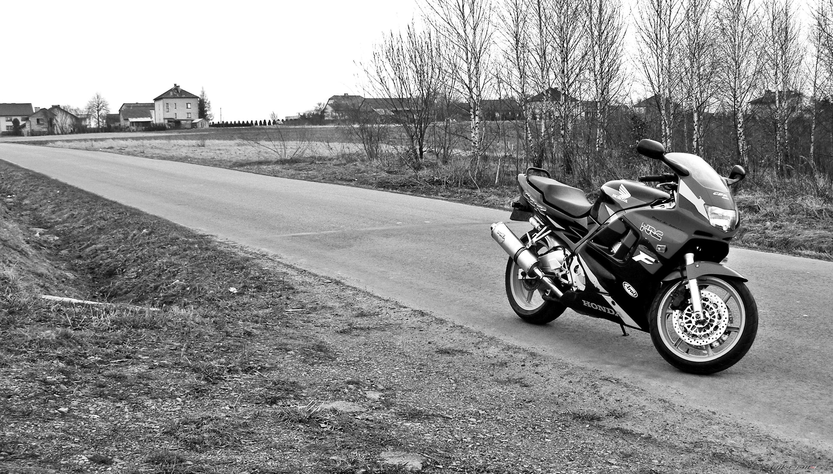1996 HONDA CBR 600 | Picture 2009165 motorcycle photo