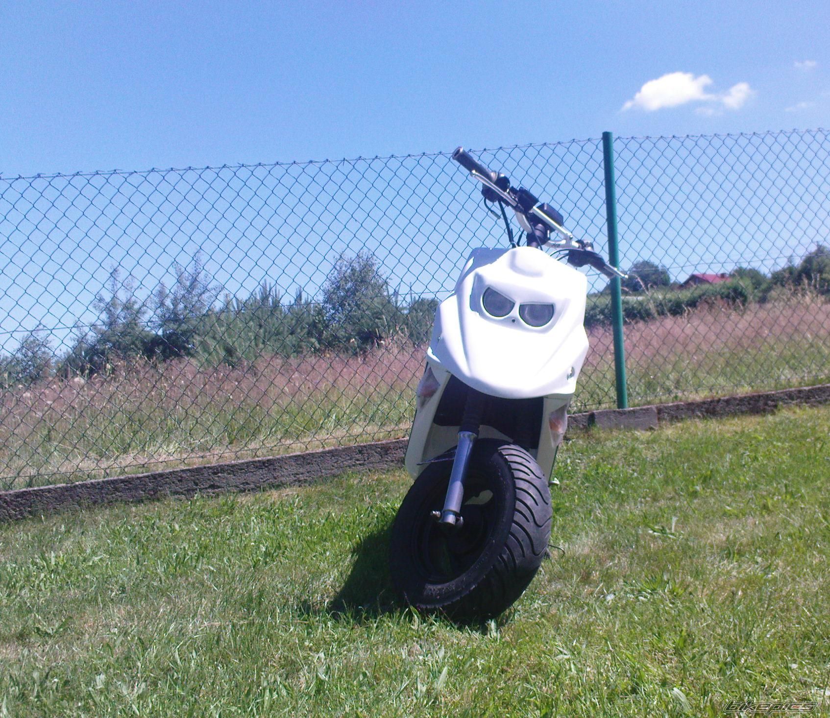 2000 PGO BIG MAX 50 | Picture 2009217 motorcycle photo