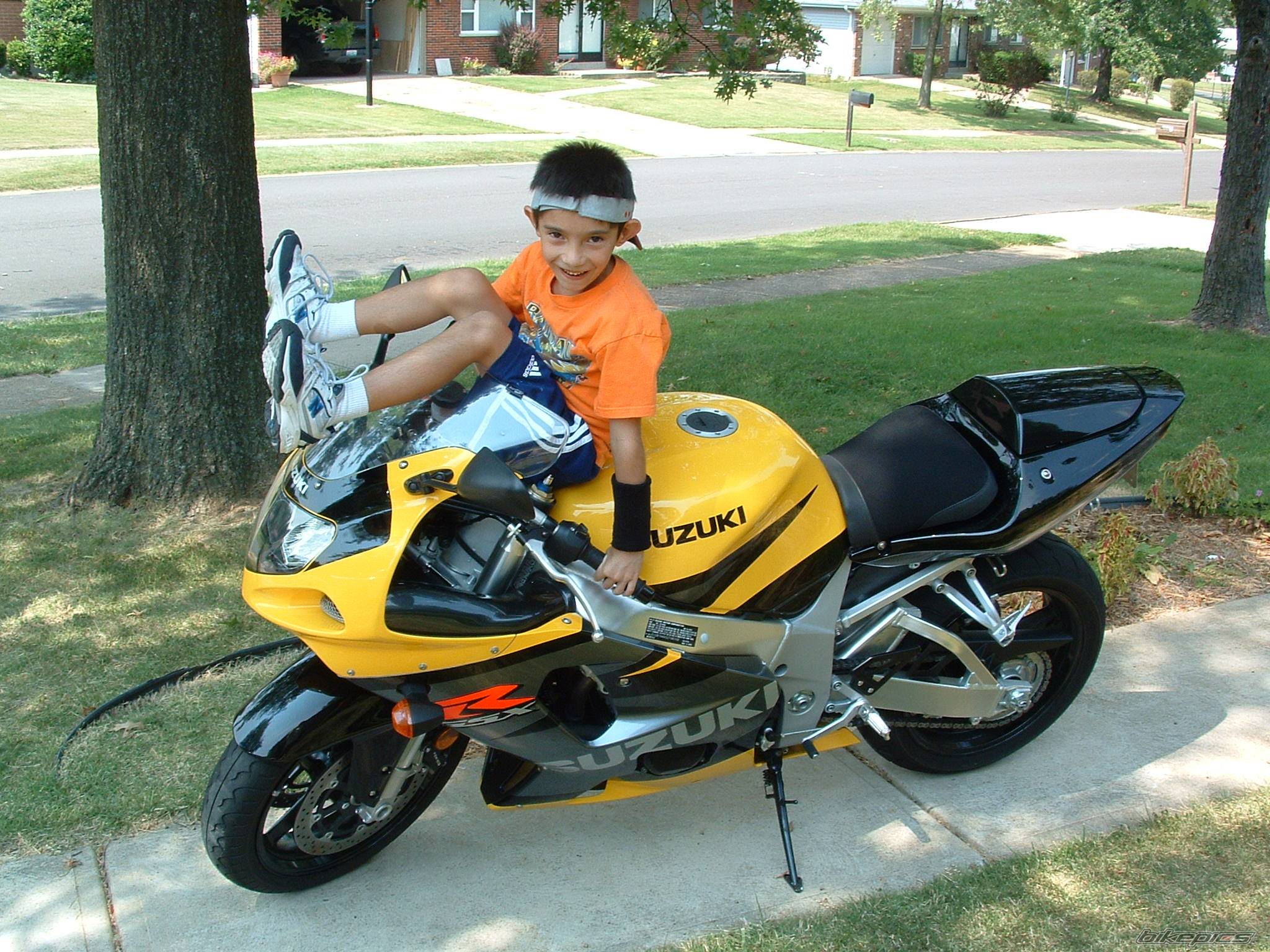 2003 SUZUKI GSX R 750 | Picture 200927 motorcycle photo
