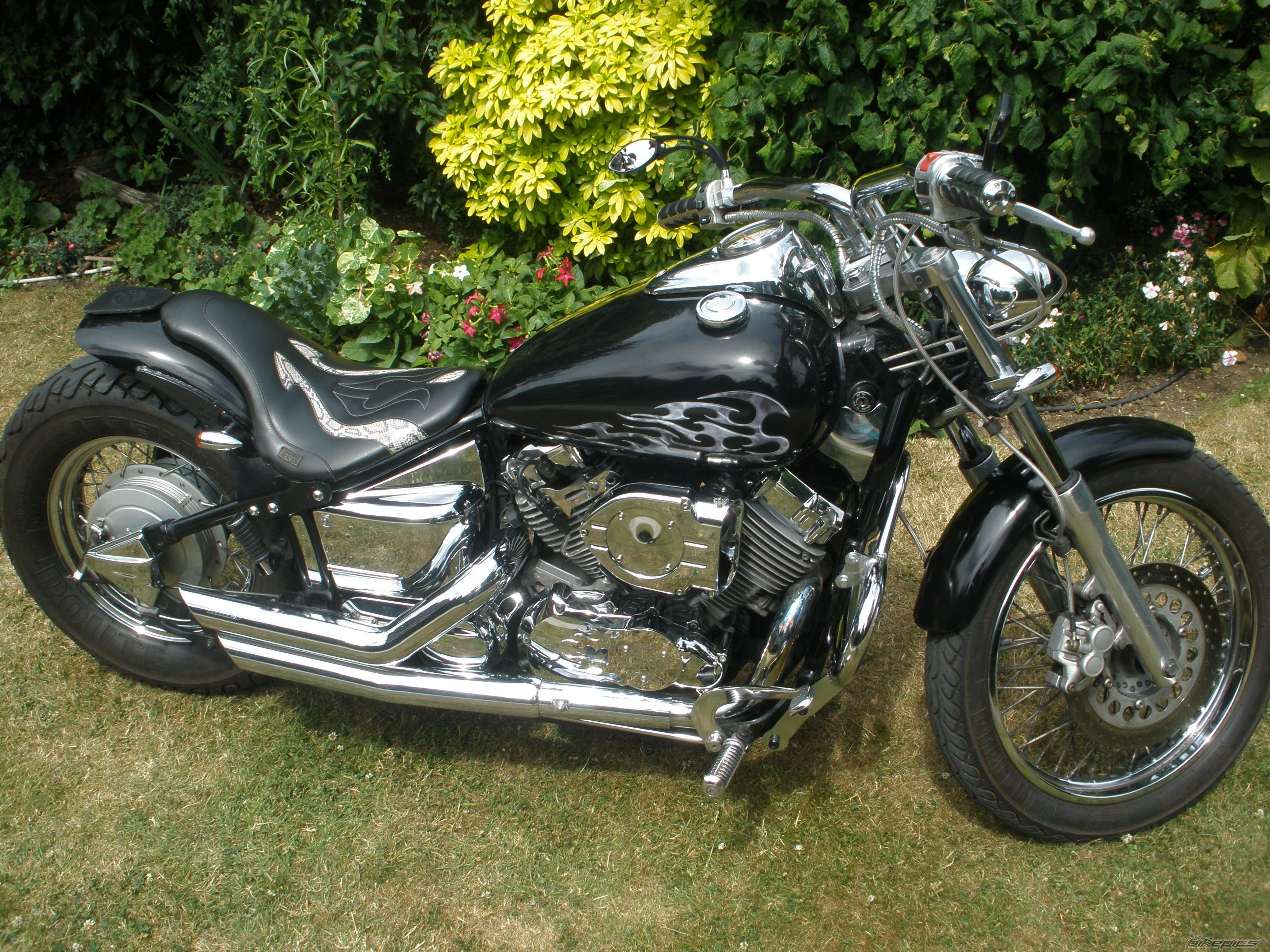 1997 YAMAHA XV DRAGSTAR 650 | Picture 2009556 motorcycle photo