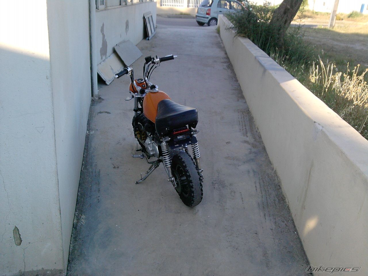 2010 HONDA Z 50 | Picture 2010144 motorcycle photo