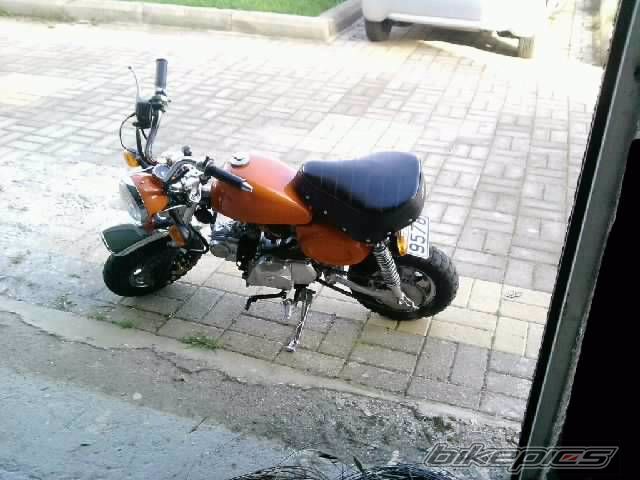 2010 HONDA Z 50 | Picture 2010145 motorcycle photo