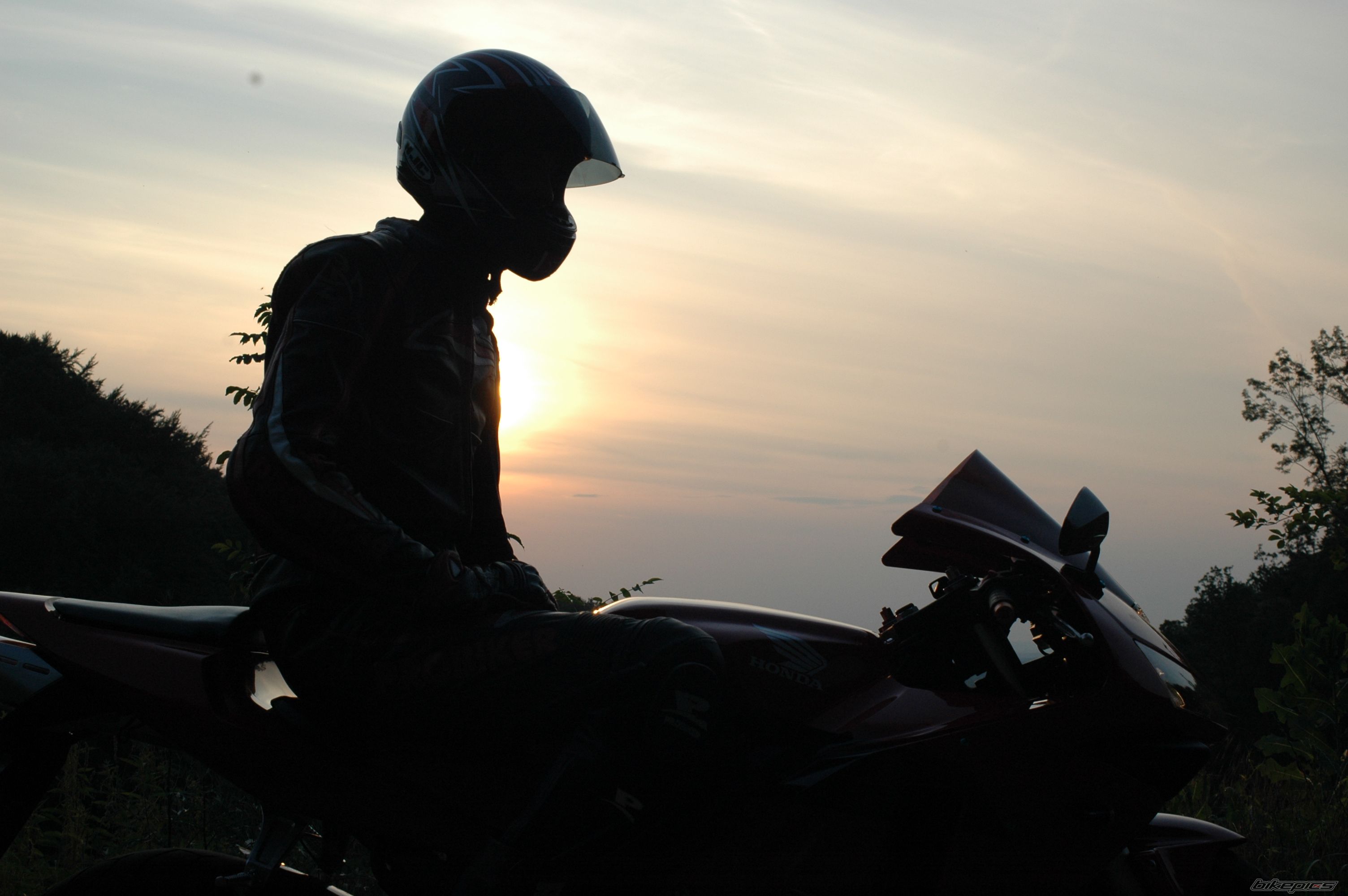 2003 HONDA CBR 600 RR | Picture 2010347 motorcycle photo
