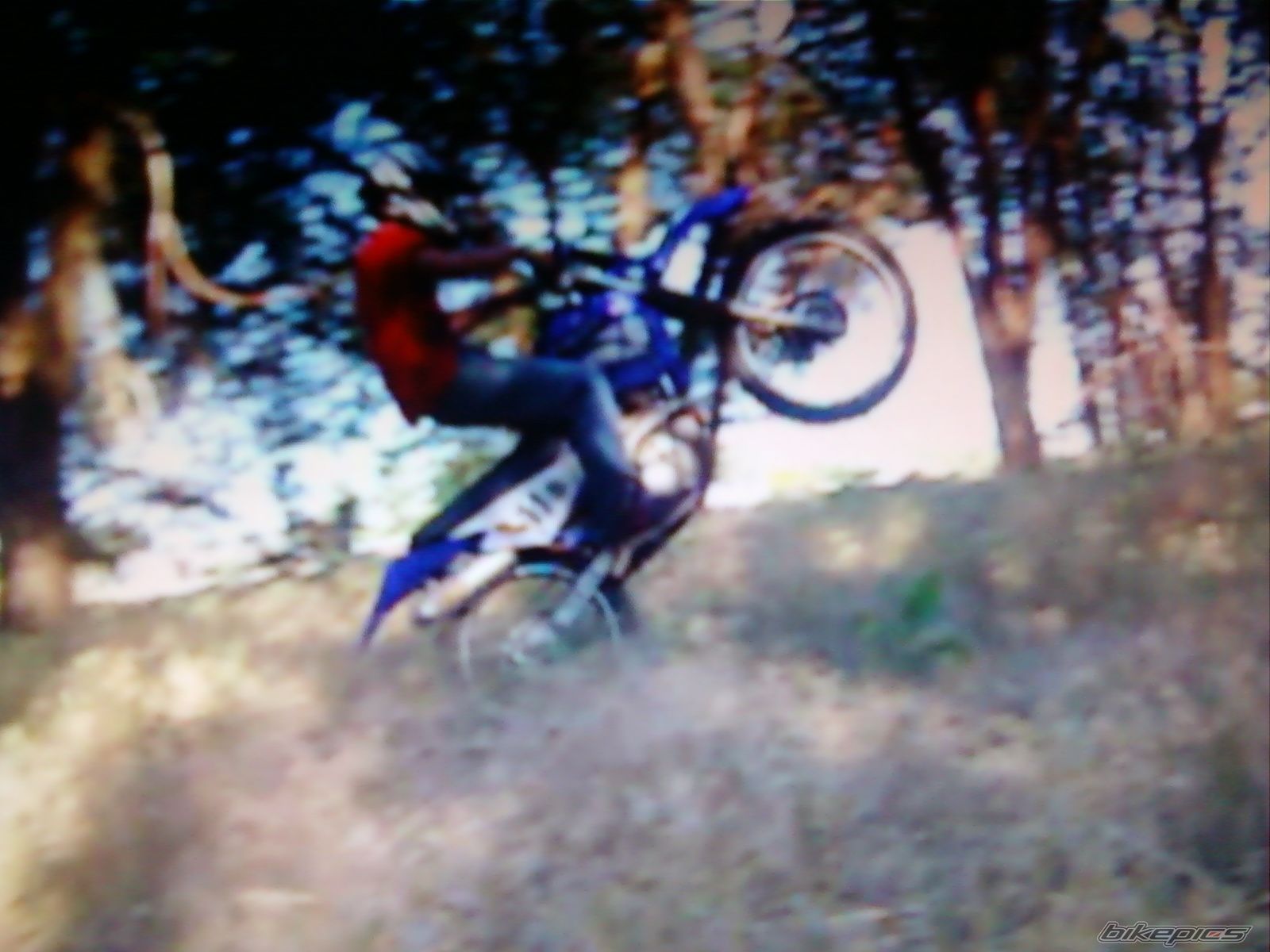 2004 YAMAHA TTR 225 | Picture 2010425 motorcycle photo
