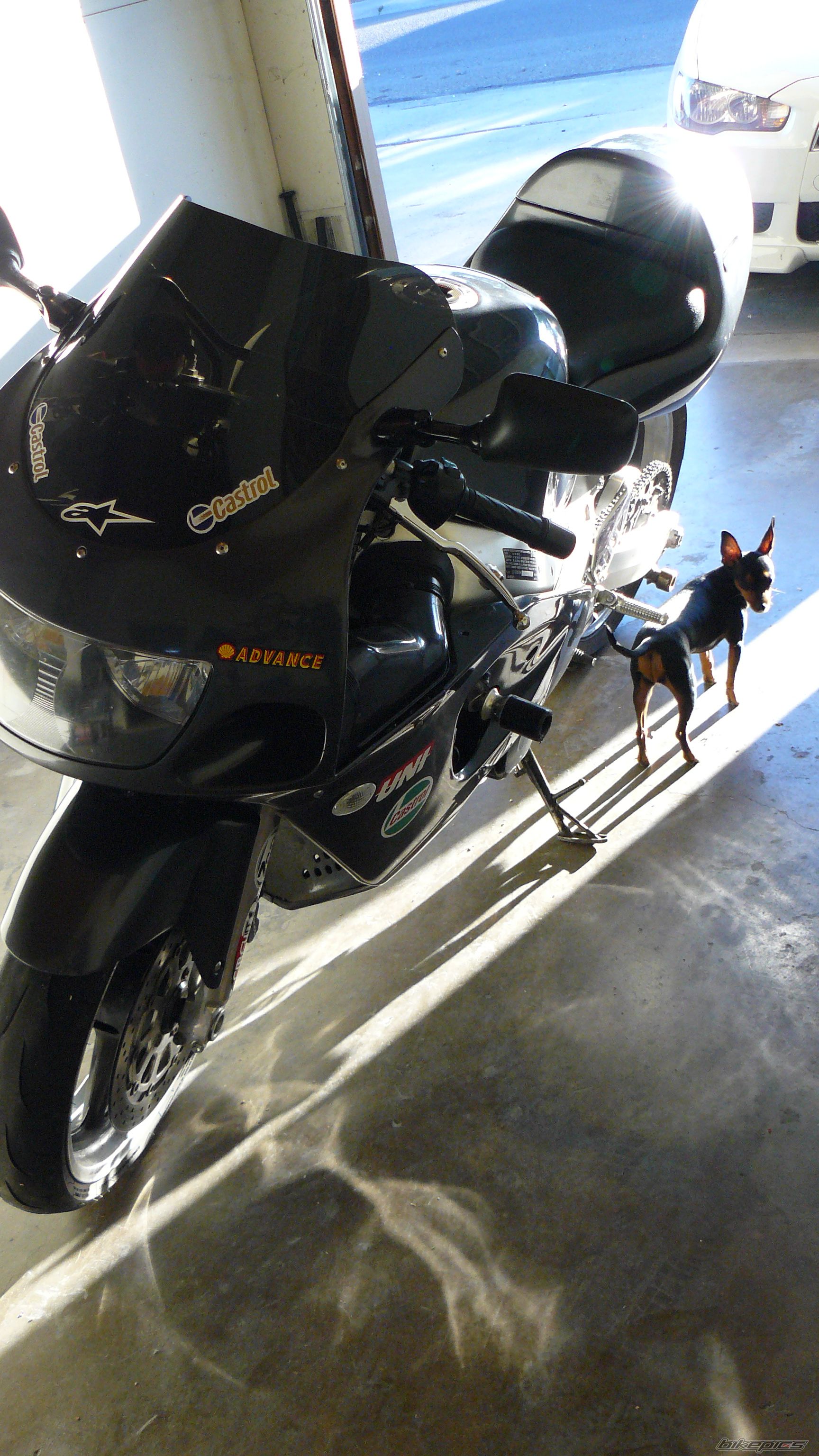 1997 SUZUKI GSX R 600 | Picture 2011070 motorcycle photo