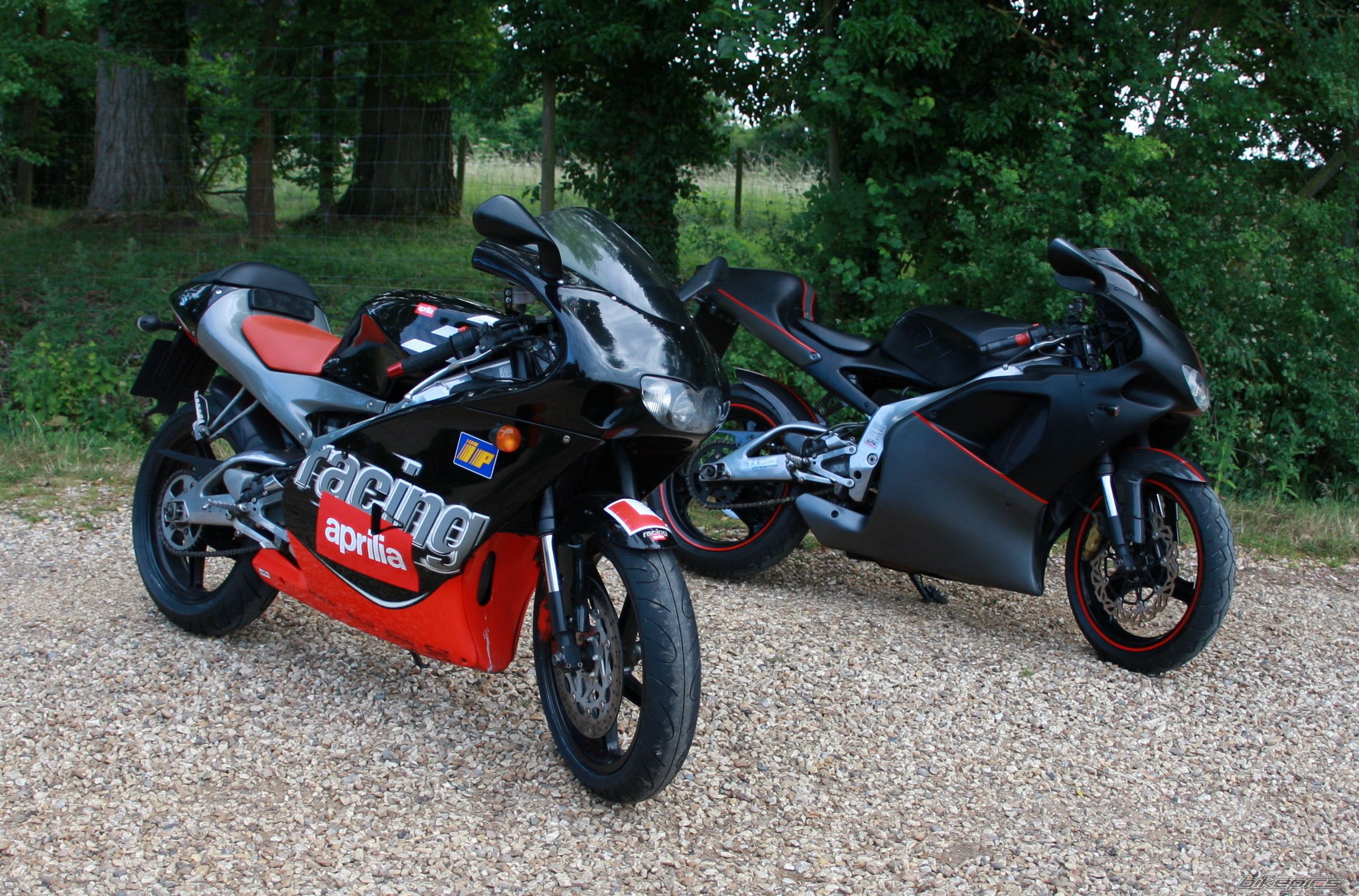 1996 APRILIA RS 125 | Picture 2011089 motorcycle photo