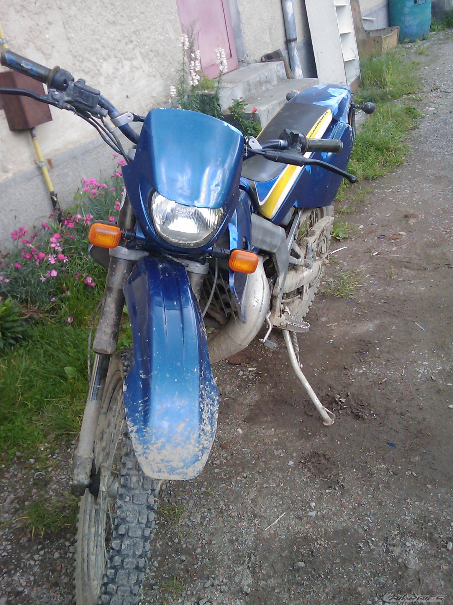 2000 DERBI SENDA X TREME R 50 | Picture 2011226 motorcycle photo