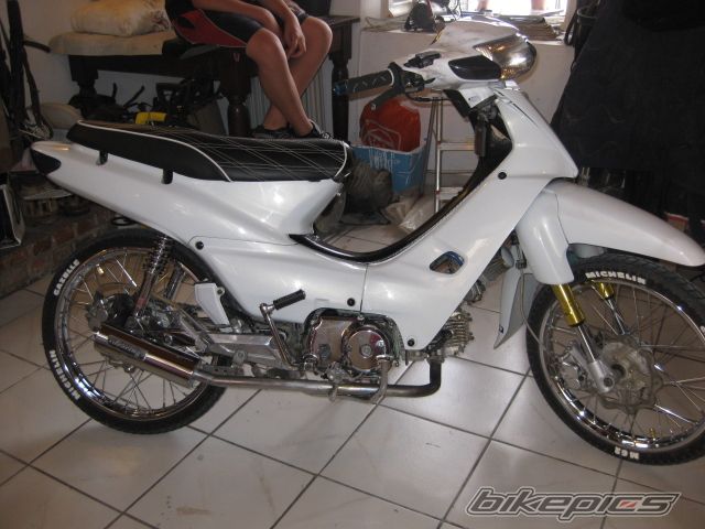 2009 HONDA SUPRA 110 | Picture 2011315 motorcycle photo