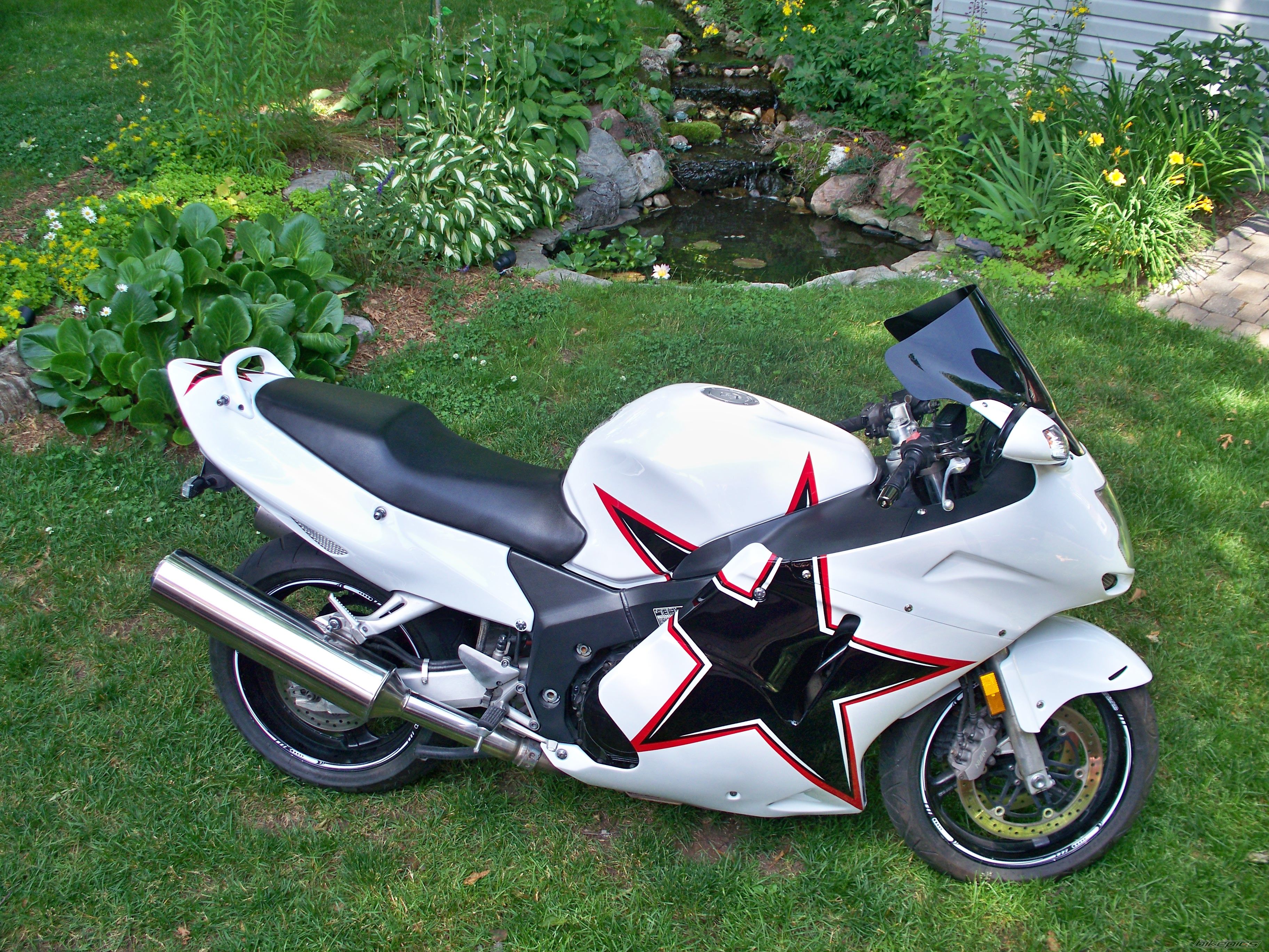 1997 HONDA CBR 1100 BLACKBIRD | Picture 2011454 motorcycle photo