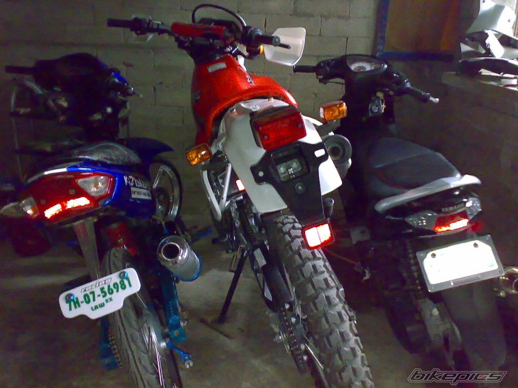 2010 HONDA XR 200 | Picture 2011654 motorcycle photo