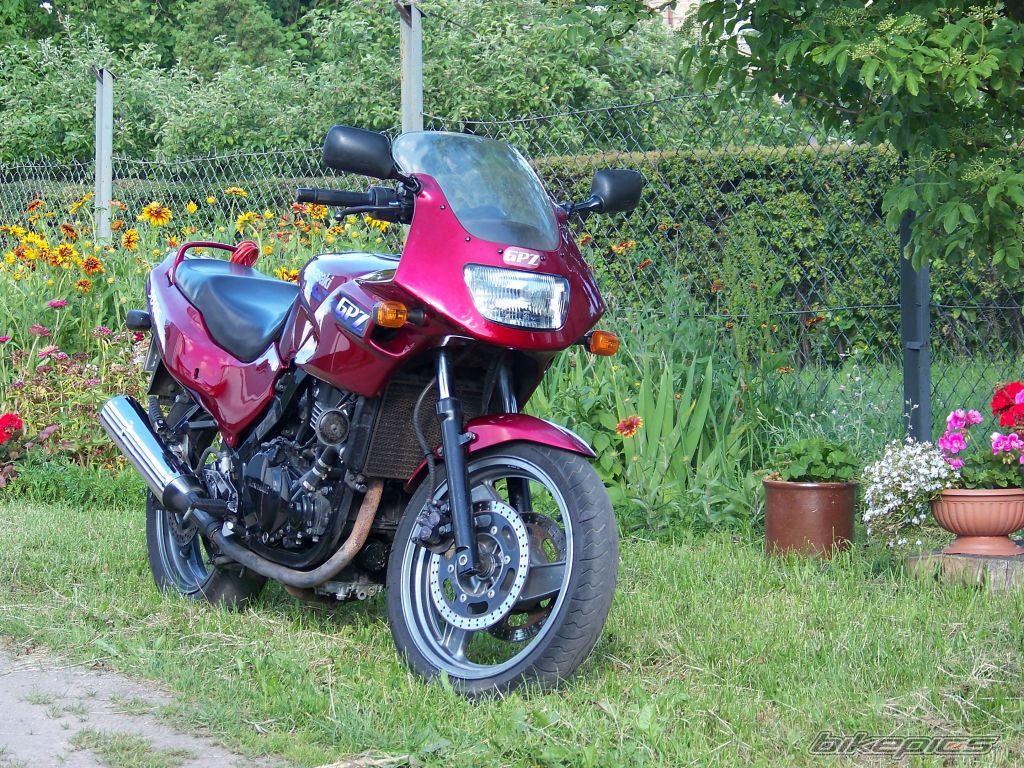 1995 KAWASAKI GPZ 500 | Picture 2012002 motorcycle photo
