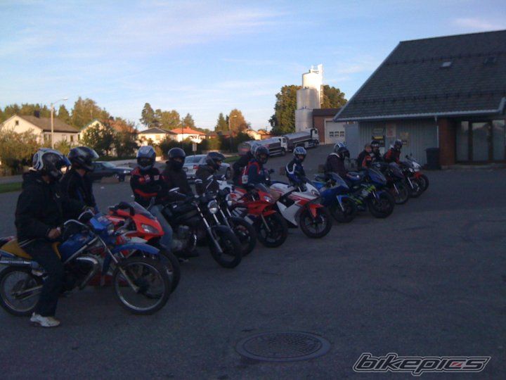 2008 APRILIA RS 125 | Picture 2012242 motorcycle photo