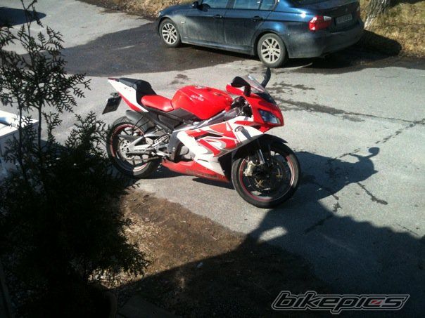2008 APRILIA RS 125 | Picture 2012244 motorcycle photo