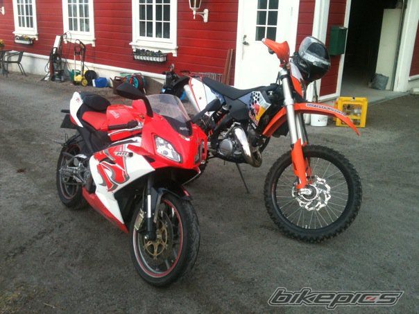 2008 APRILIA RS 125 | Picture 2012245 motorcycle photo