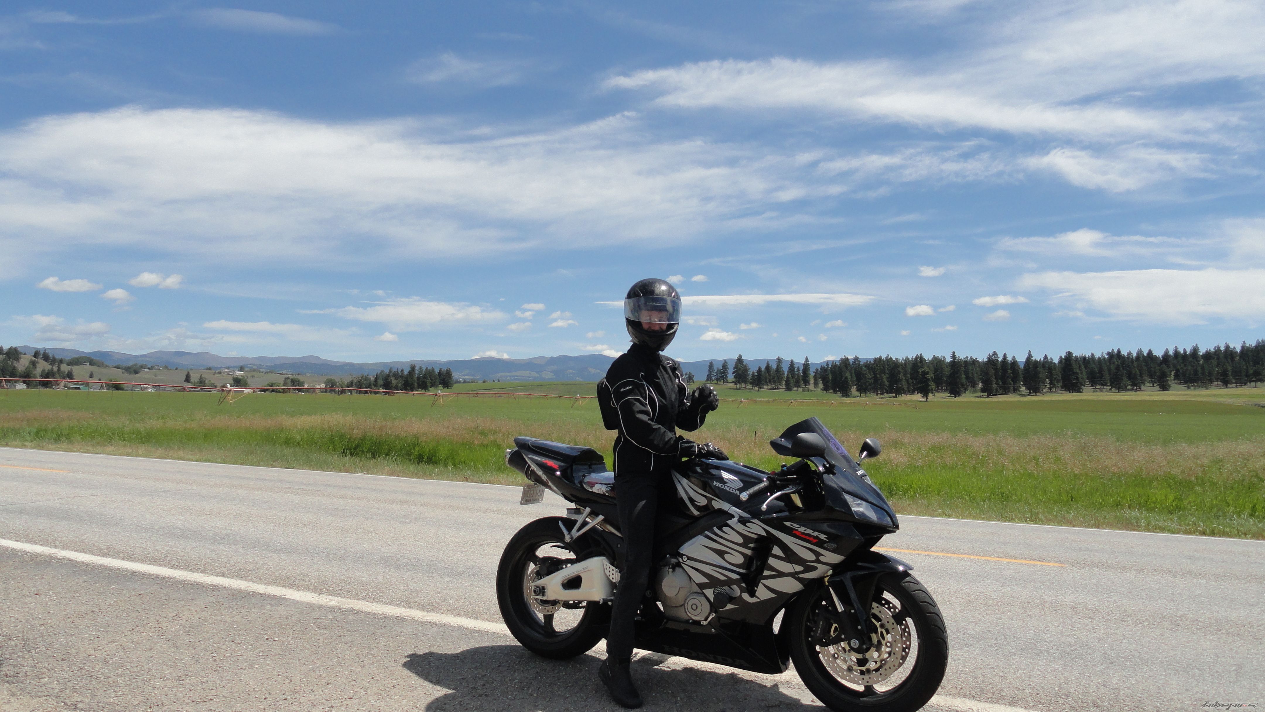 2005 HONDA CBR 600 RR | Picture 2012311 motorcycle photo