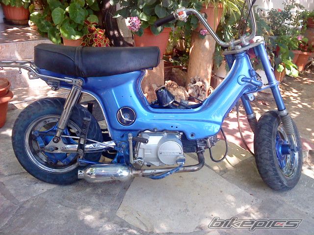 2009 HONDA CHALY | Picture 2012312 motorcycle photo