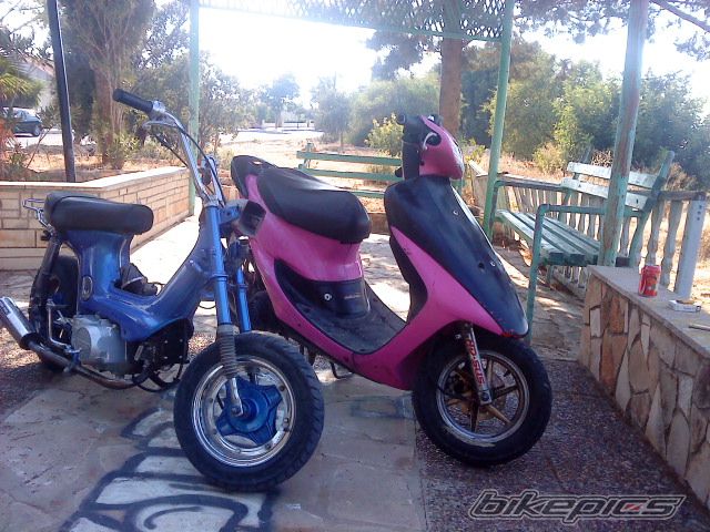 2009 HONDA CHALY | Picture 2012314 motorcycle photo